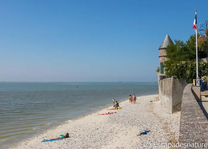 Le Crotoy Plage Baie De Somme Appartement L\'Avocette