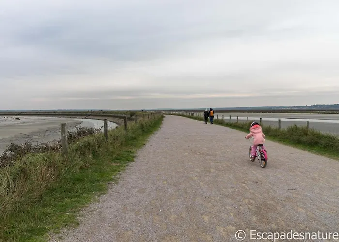 Le Crotoy Plage Baie De Somme Appartement L\'Avocette
